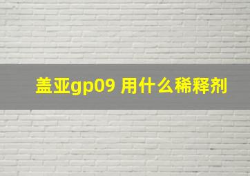 盖亚gp09 用什么稀释剂